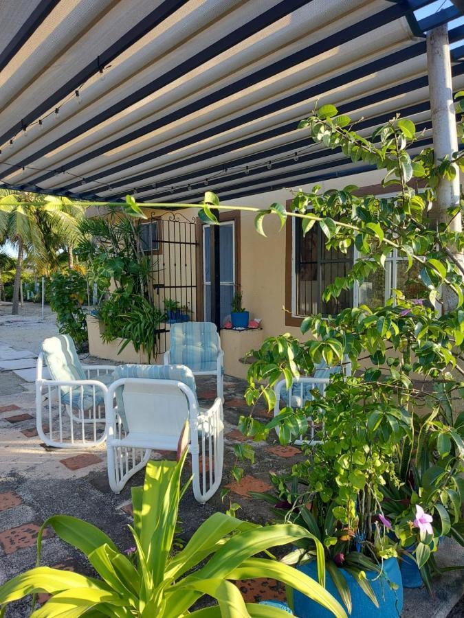 הוילה Casa Ibiza סלסטון מראה חיצוני תמונה