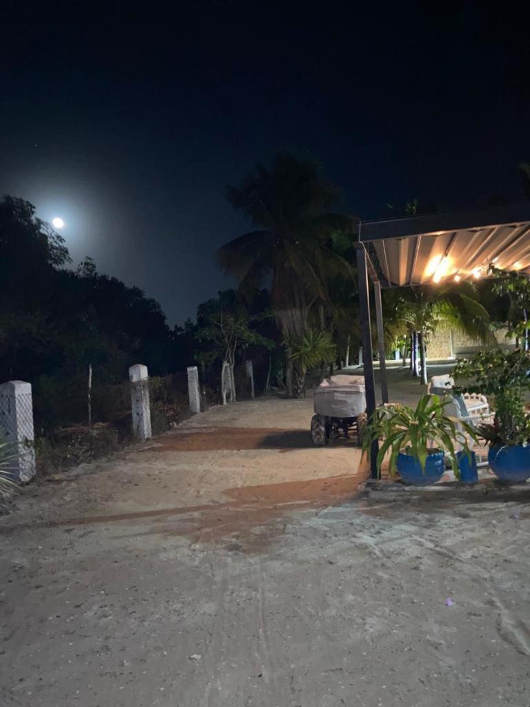 הוילה Casa Ibiza סלסטון מראה חיצוני תמונה