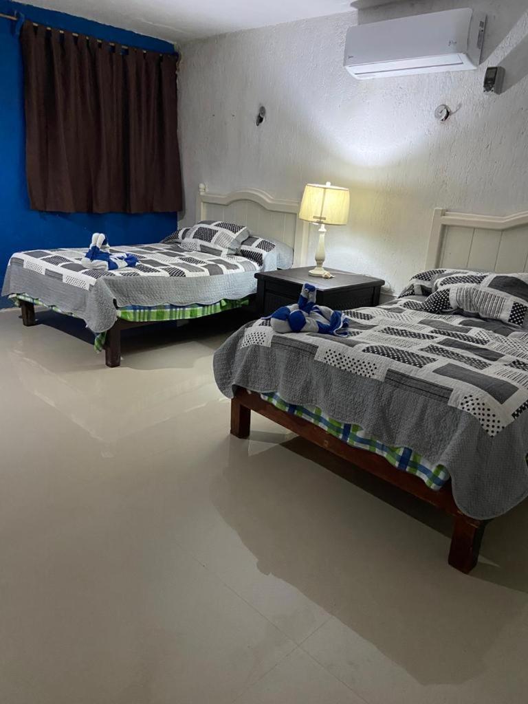 הוילה Casa Ibiza סלסטון מראה חיצוני תמונה