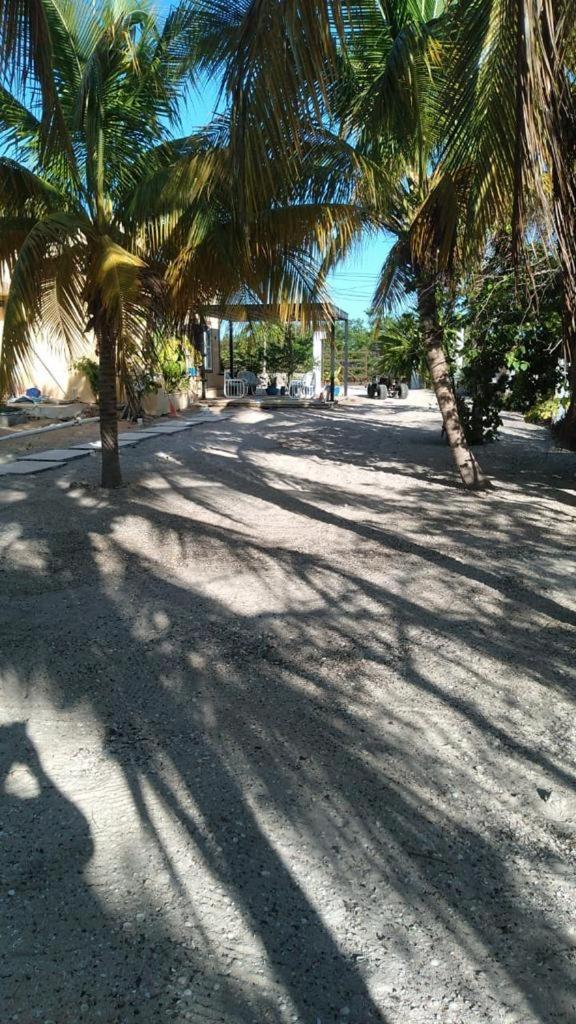 הוילה Casa Ibiza סלסטון מראה חיצוני תמונה